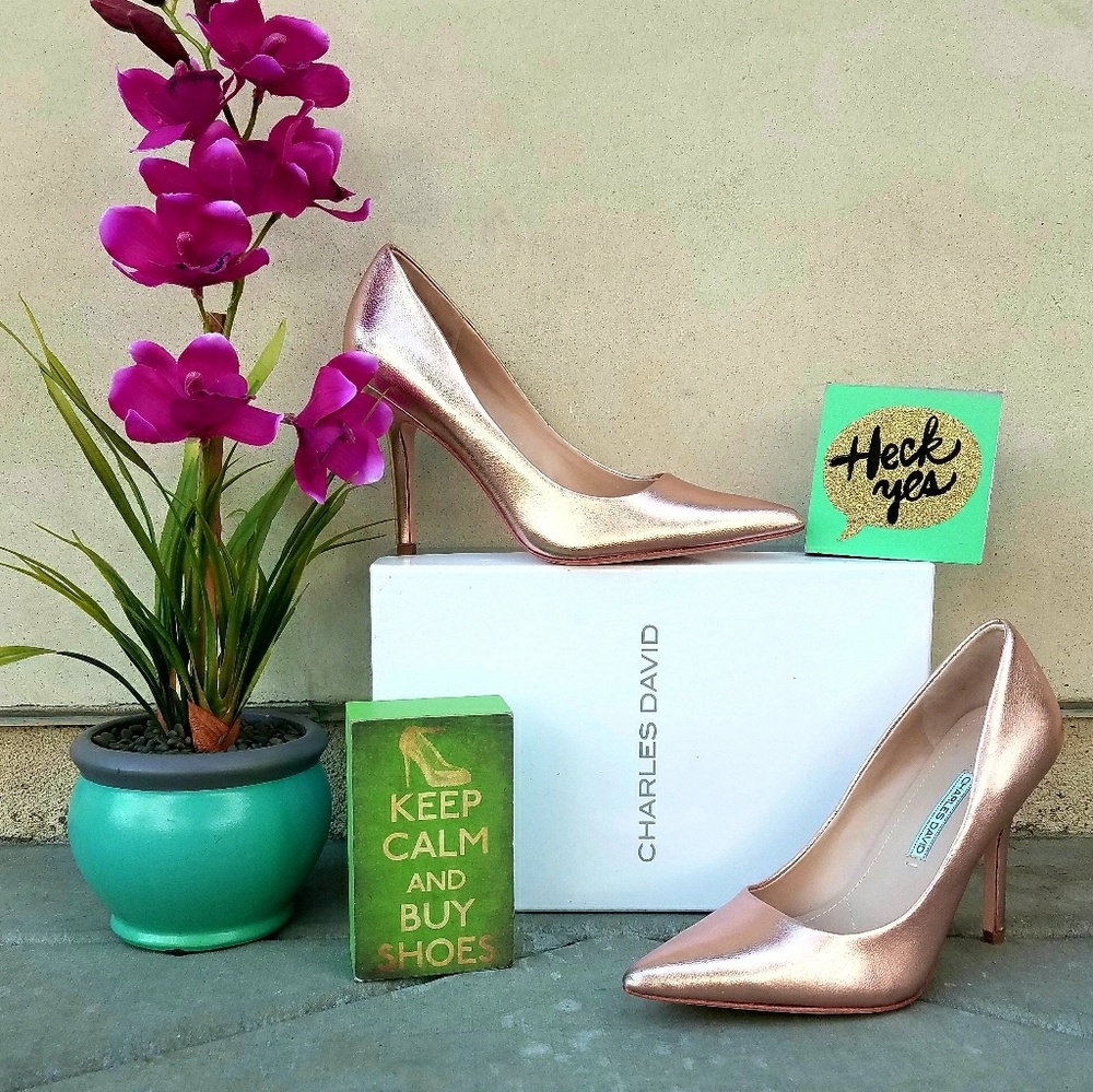 Beautiful Charles David Stilletos in Rose Gold